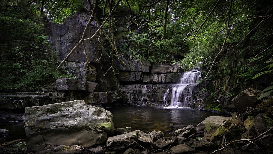 Waterfall in Forest, cascade, environment, flow, landscape, long exposure HD wallpaper