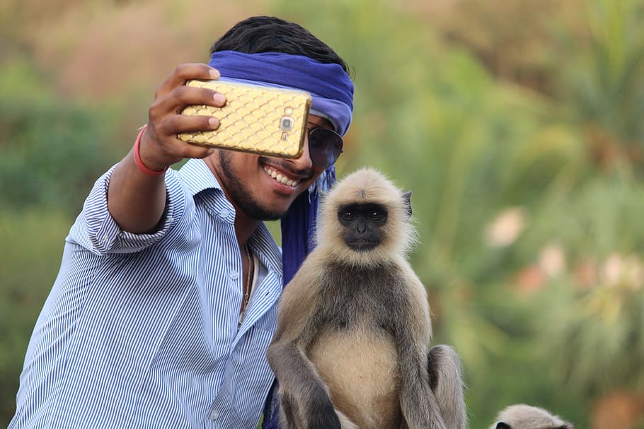 selfie with monkey, boy, camera, phone, mobile, ape, wildlife HD wallpaper