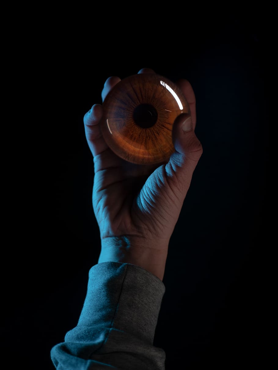 brown artificial eye, human body part, human hand, holding, indoors HD wallpaper