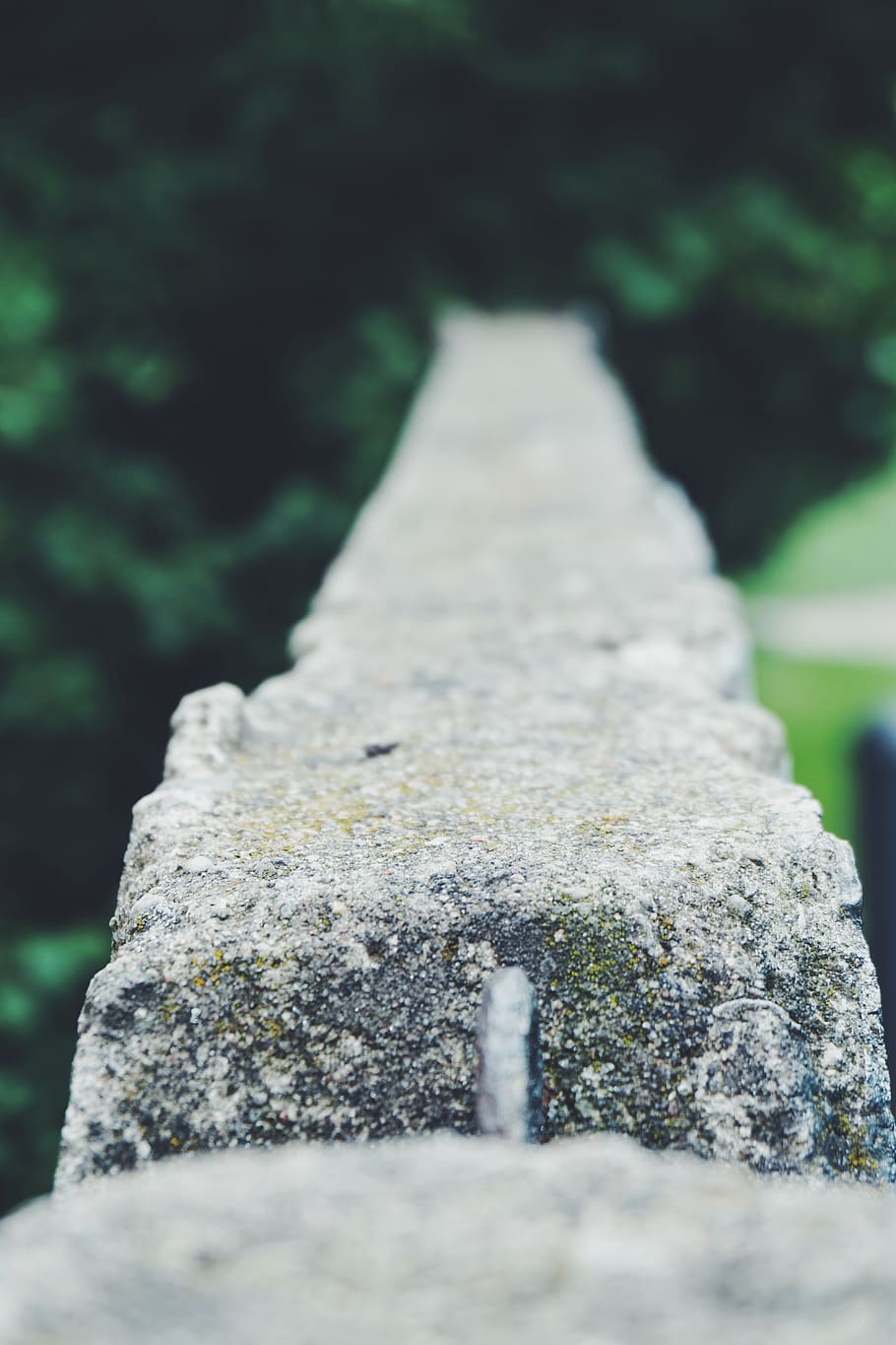 berlin, wall, selective focus, day, no people, close-up, nature HD wallpaper