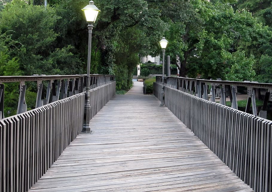 foot, bridge, architecture, engineering, plant, railing, the way forward HD wallpaper