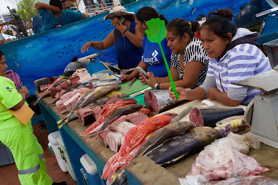 ecuador, galapagos islands, fresh fish, galapagos islands market, HD wallpaper