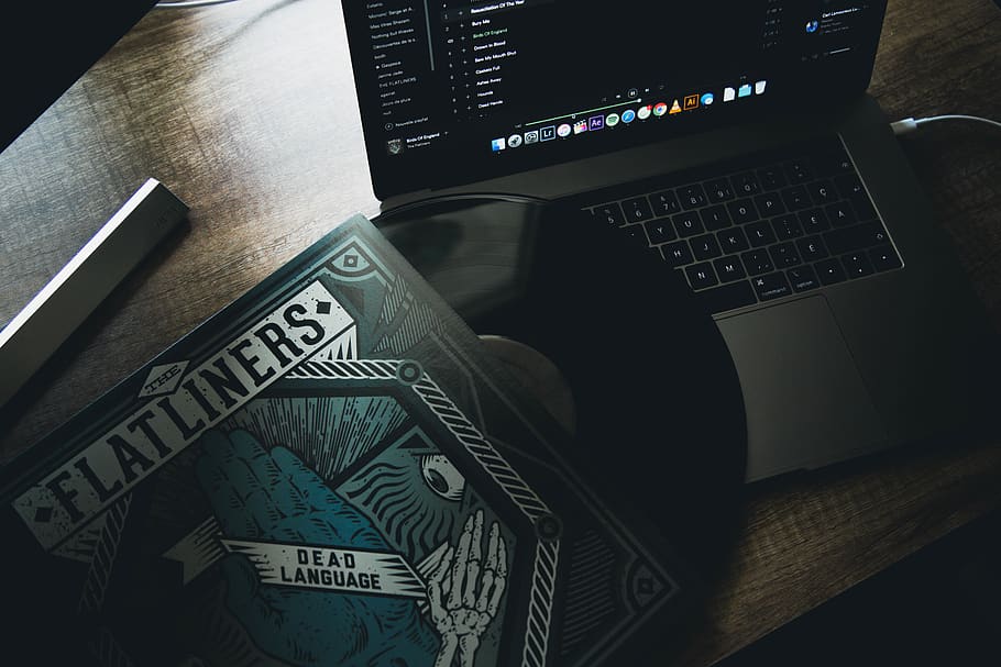 Flatliners vinyl sleeve, computer, technology, wireless technology HD wallpaper