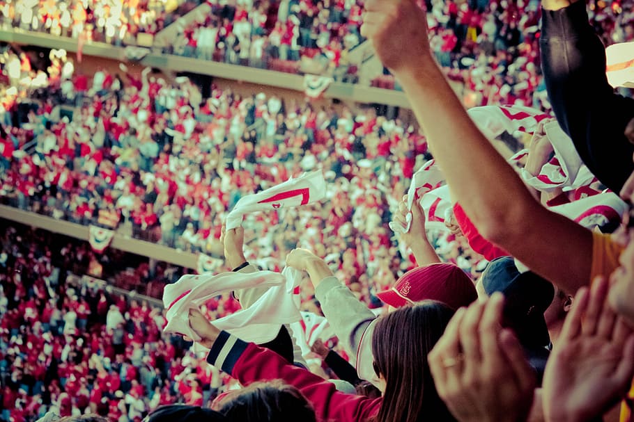 people sitting inside gymnasium, crowd, stadium, jersey, fans HD wallpaper