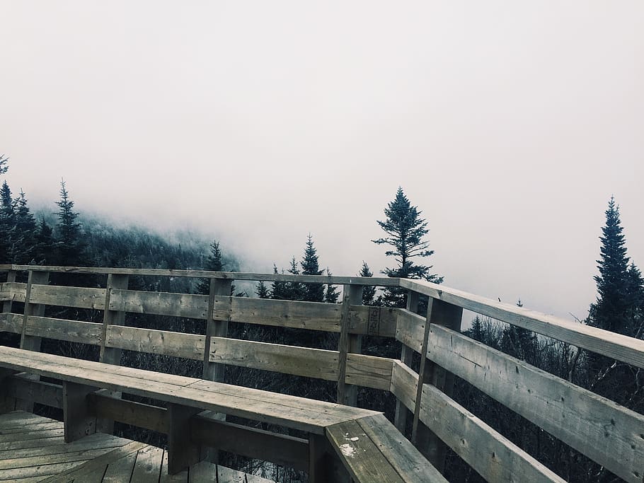 canada, sutton, mont sutton, cloud, cloudy, trees, snow, storm HD wallpaper