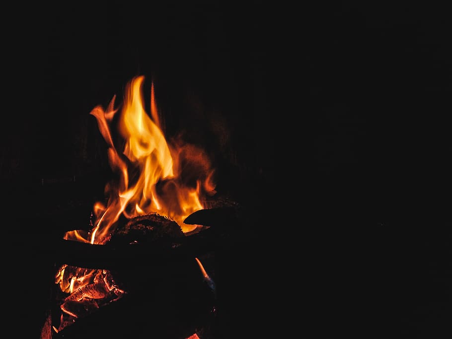 Macro Photography of Lit Bonfire, black background, burn, burning HD wallpaper