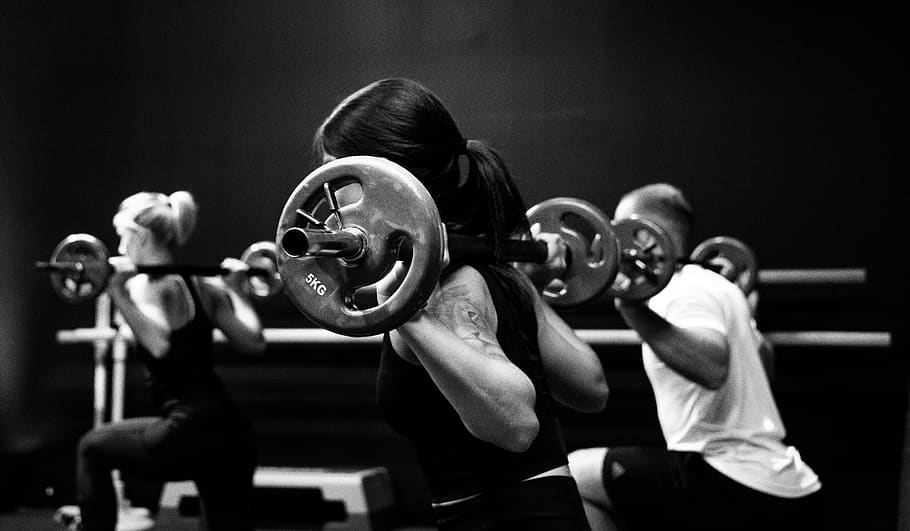 three person lifting barbels, sport, exercising, strength, vitality HD wallpaper