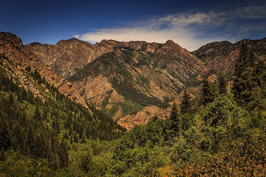 Brown Rocky Mountain Photo, beautiful, canyon, daylight, forest HD wallpaper