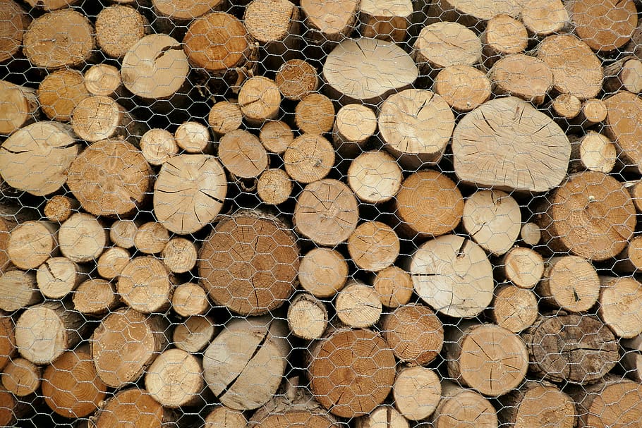 wood, lumber, logs, textures and patterns, hardwood, winter, HD wallpaper