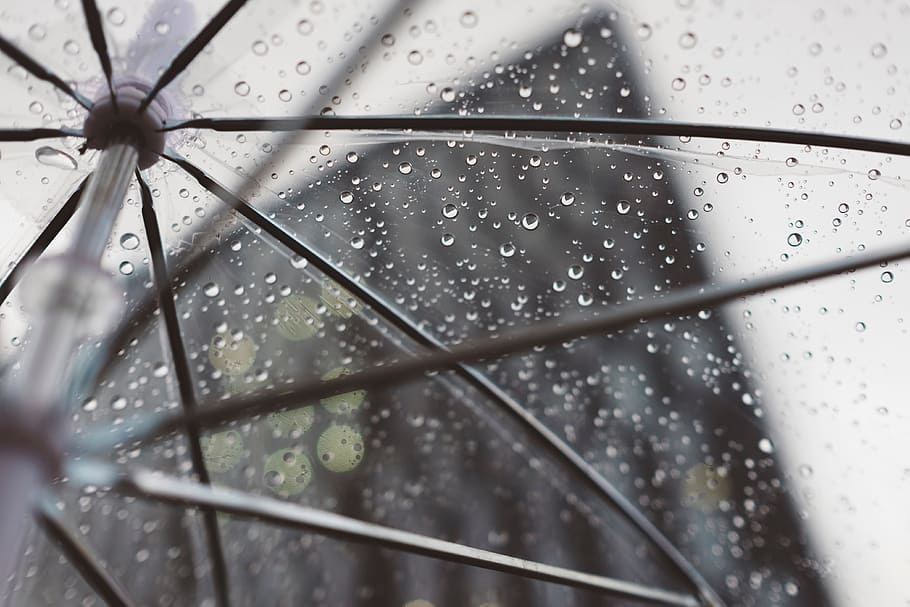 rain, umbrella, plastic, water, cold, weather, building, architecture HD wallpaper
