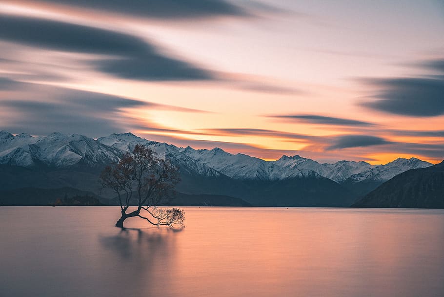 silhouette of tree in body of water, mountain, long exposure HD wallpaper