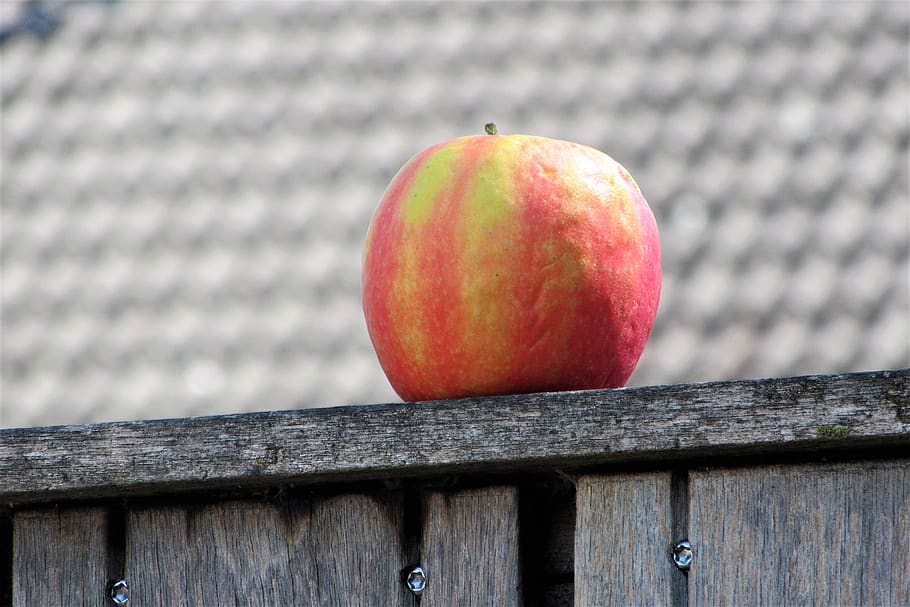 apple, fruit, healthy, around, fence, are, color, red, yellow HD wallpaper