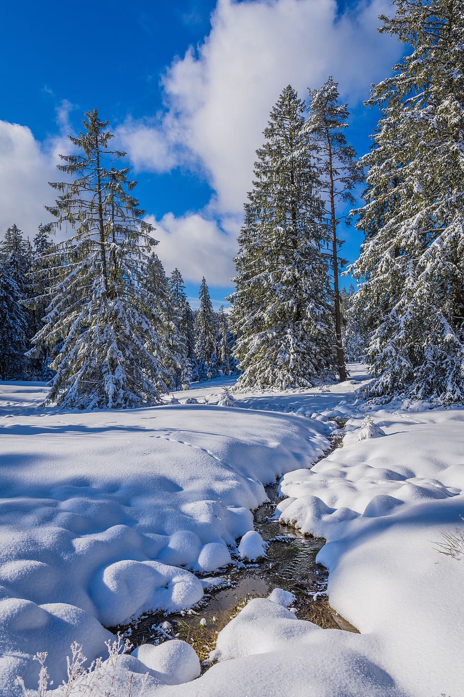 snow, winter, cold, ice, nature, black forest, water, beautiful HD wallpaper