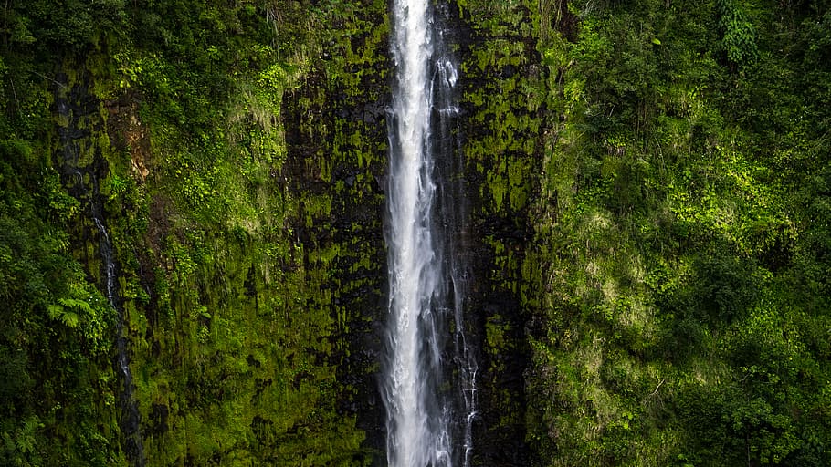 waterfalls scenery, nature, outdoors, river, jungle, hawaii, vegetation, HD wallpaper