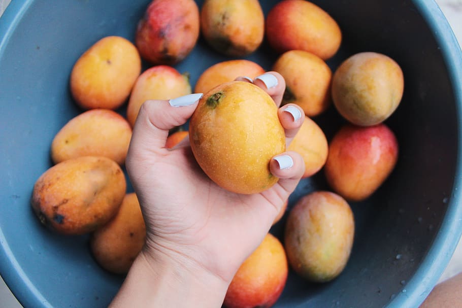 ripe mangoes, fruit, orange, flora, food, grapefruit, plant, citrus fruit HD wallpaper