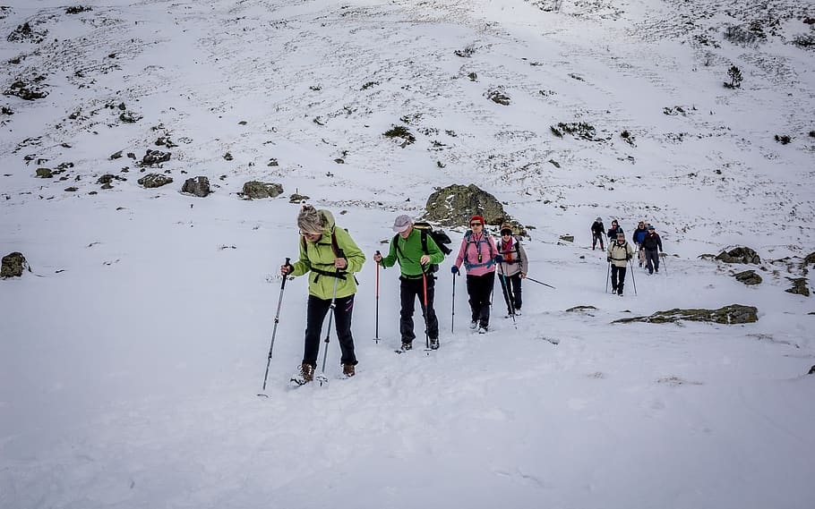 bouleste, pyrénées, mountain, snow, group, hiking, winter HD wallpaper