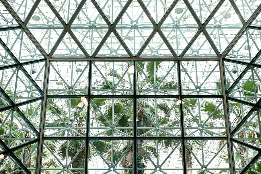 Palm trees behind glass, architecture, blue, building, buildings HD wallpaper