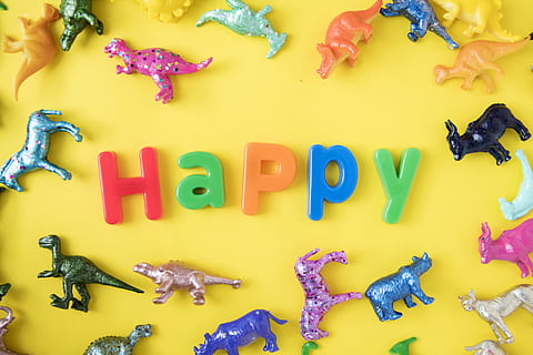 alphabets, animals, assorted, bright, close-up, collection, colorful HD wallpaper