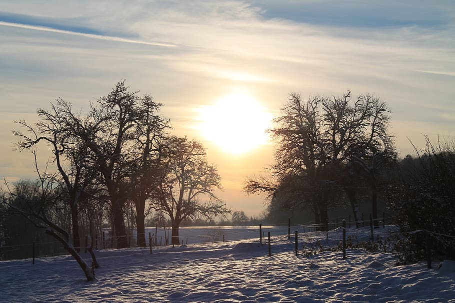 winter, sunset, landscape, nature, sky, trees, twilight, wintry HD wallpaper