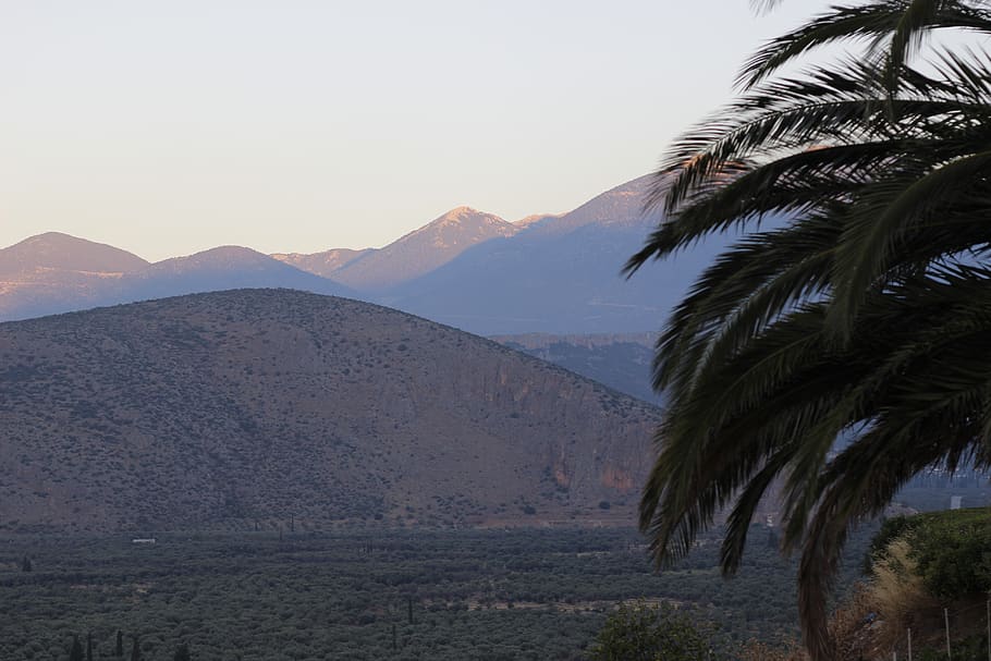 greece, delphi, mountains, palmtrees, landscape, sky, palm tree HD wallpaper