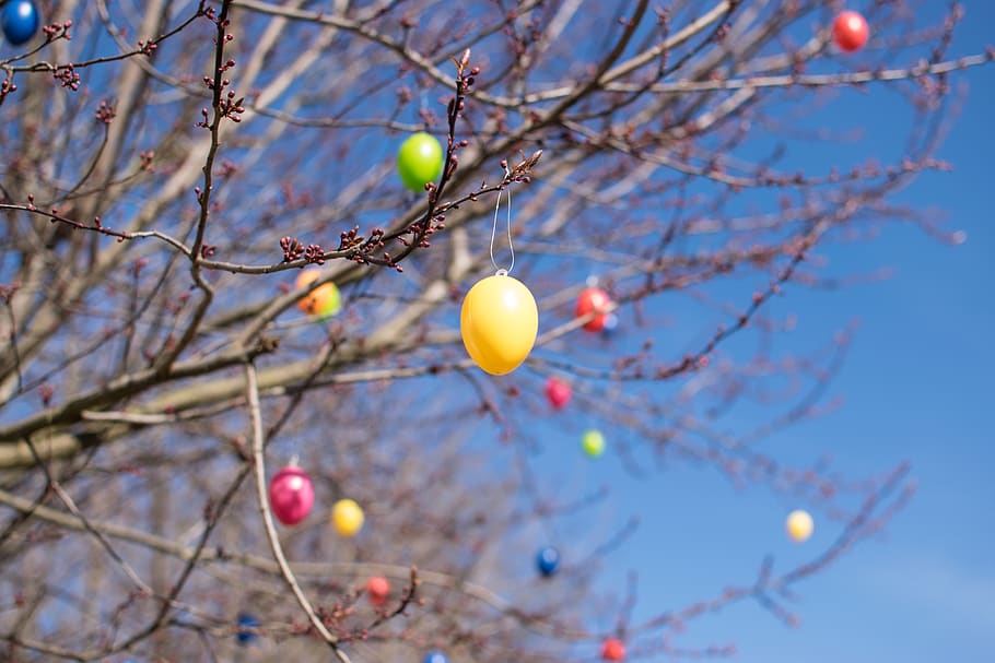 easter, eggs, tree, sky, branch, plant, low angle view, no people HD wallpaper