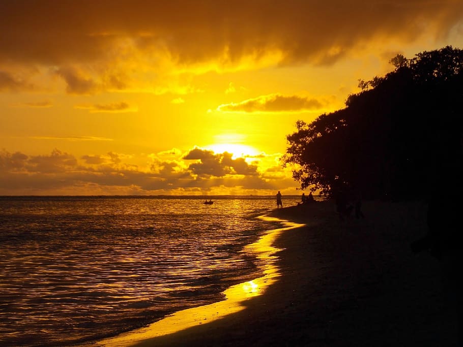 sunset, coastline, beach, sand, surf, silhouettes, seashore HD wallpaper