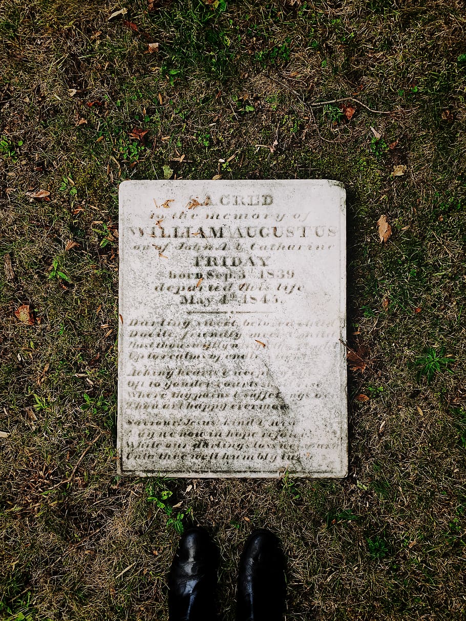 white plate on grasses, plaque, ground, soil, boot, shoe, clothing HD wallpaper