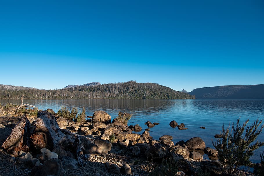 lake st clair, cynthia bay, tasmania, nature, landscape, peaceful