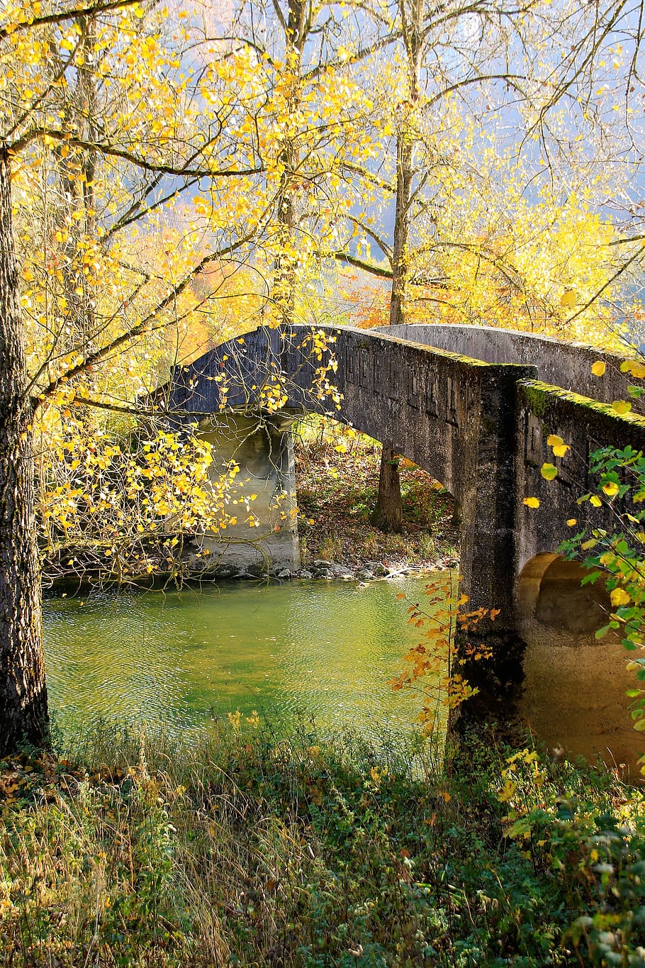 autumn, bridge, leaves, river, sun, mirroring, idyllic, landscape HD wallpaper