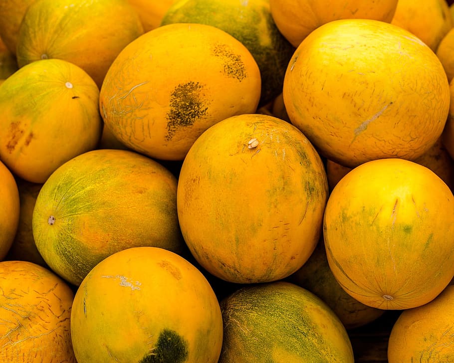 fresh, melon, citrus, fruit, food, nature, ripe, healthy eating HD wallpaper
