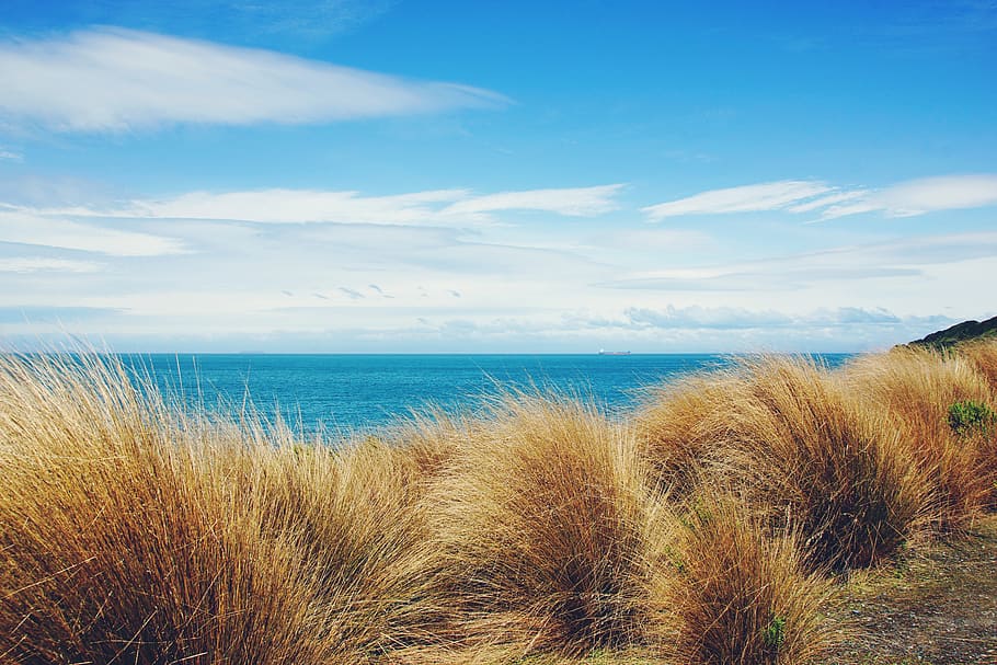 beach, scenery, ocean, sea, nature, summer, landscape, sky HD wallpaper