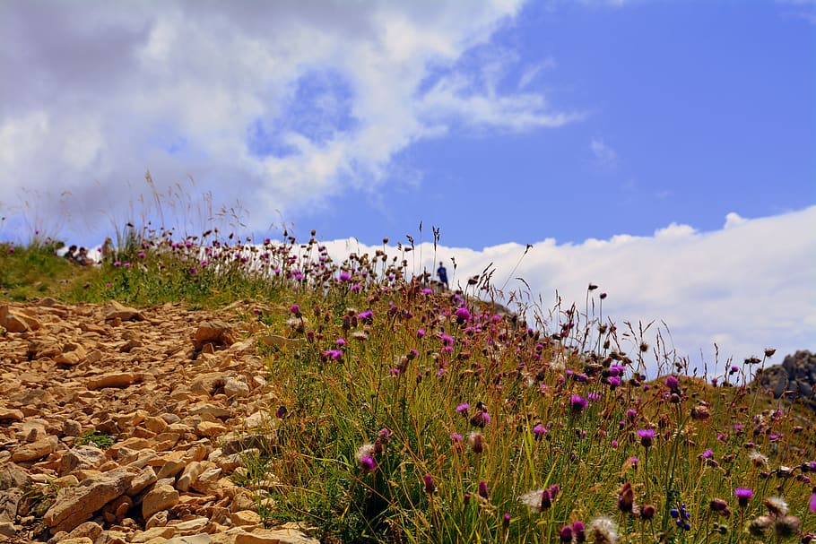 prato, sky, clouds, trail, hiking, flowering plant, cloud - sky HD wallpaper