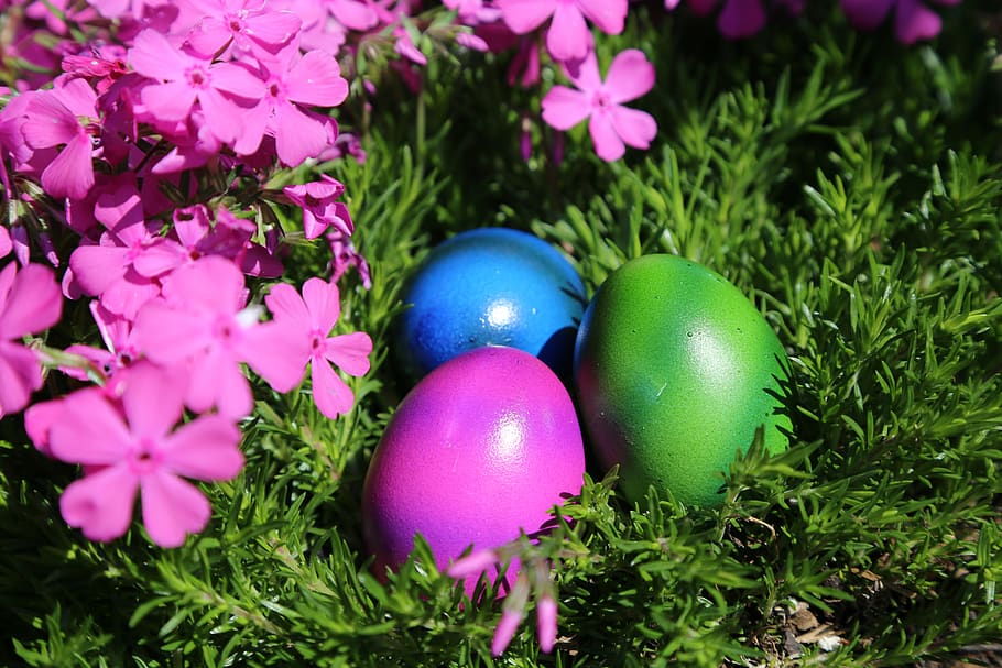 easter, easter nest, egg, colorful, colored, easter decoration HD wallpaper