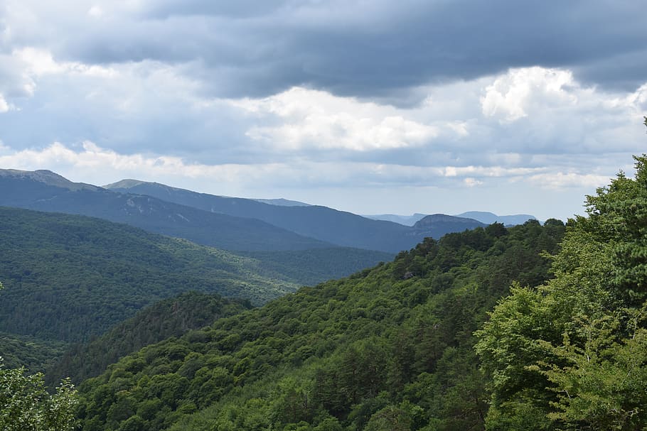 mountains, forest, landscape, crimea, forests, trees, nature HD wallpaper