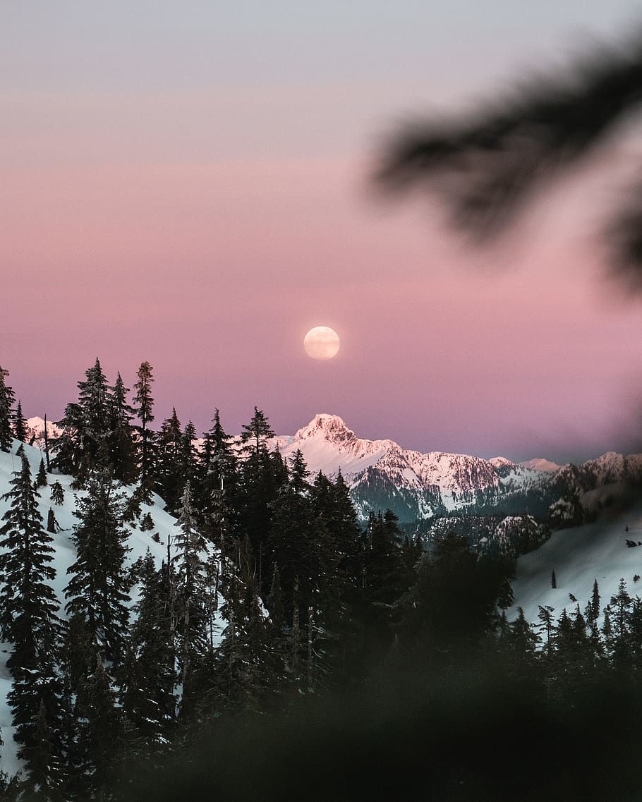 sky, beauty in nature, tree, tranquility, tranquil scene, scenics - nature HD wallpaper