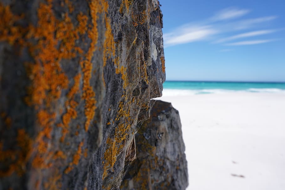 moss, beach, rock, sea, ocean, coast, sand, nature, summer HD wallpaper