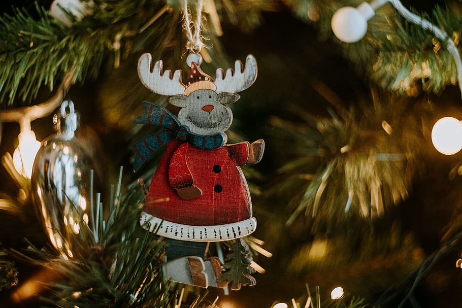 moose ornament, christmas light, festive, holiday, tree, reindeer HD wallpaper