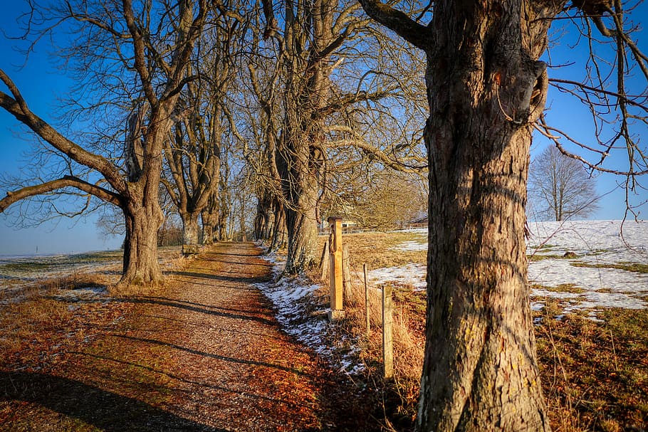 away, winter, nature, cold, landscape, tree, mood, snow, hill HD wallpaper