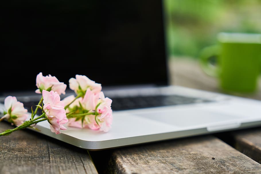 technology, computer, keyboard, flower, nature, work, the work HD wallpaper