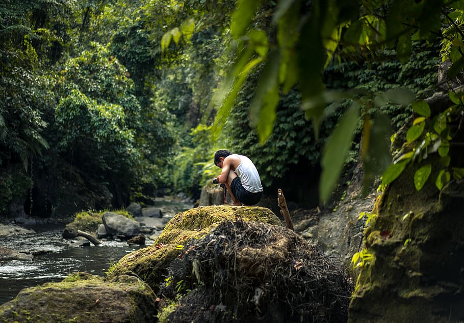 man sitting beside river, plant, vegetation, outdoors, land, nature HD wallpaper