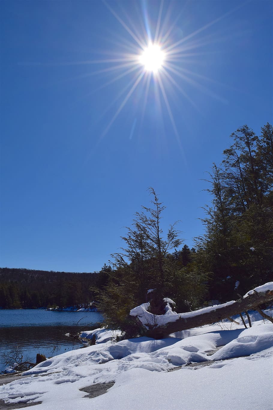 lake, snow, winter, sky, sun, tree, nature, landscape, water HD wallpaper