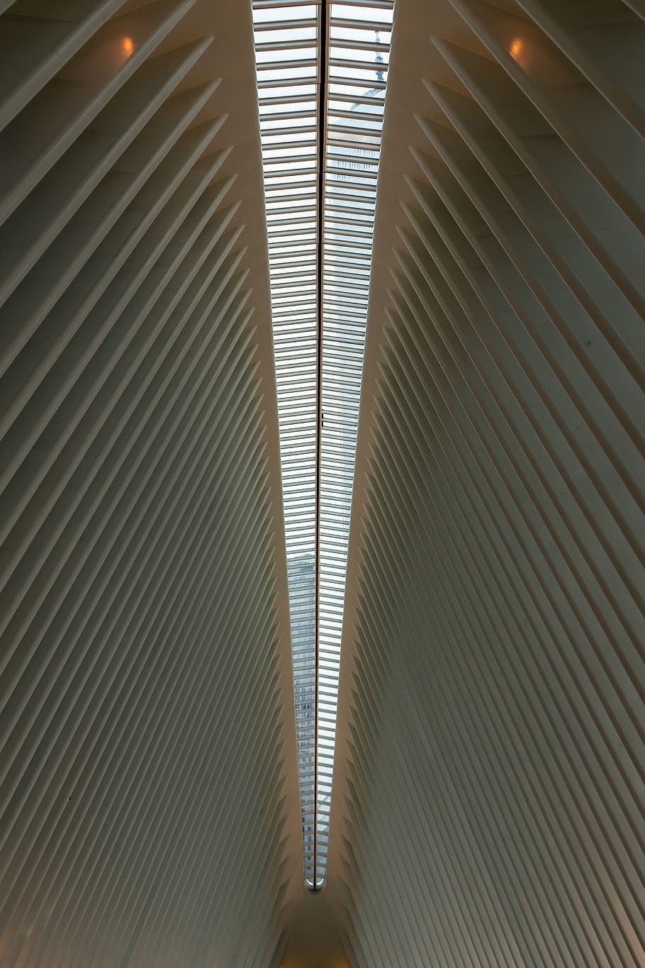 Photo of Ceiling of Building, architectural design, architecture HD wallpaper