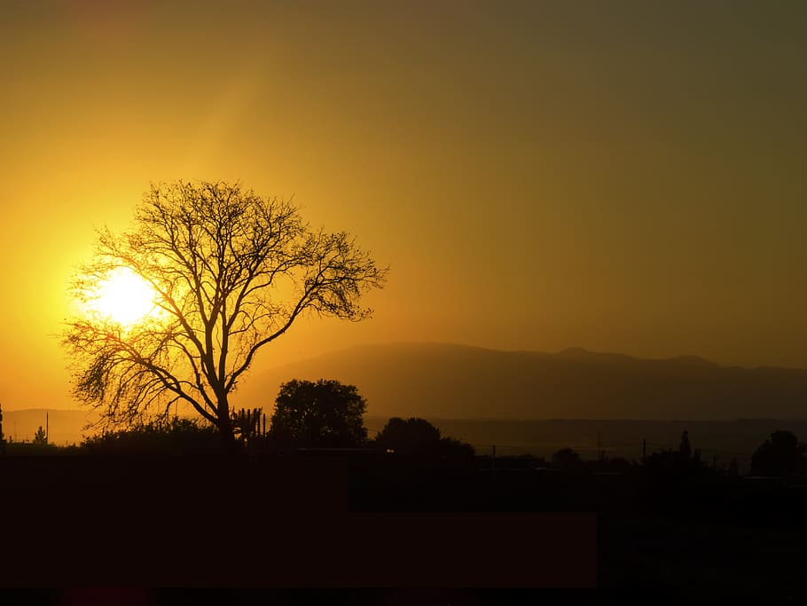 sunny, sunlight, landscape, dark, mountain, sunset, tree, silhouette HD wallpaper
