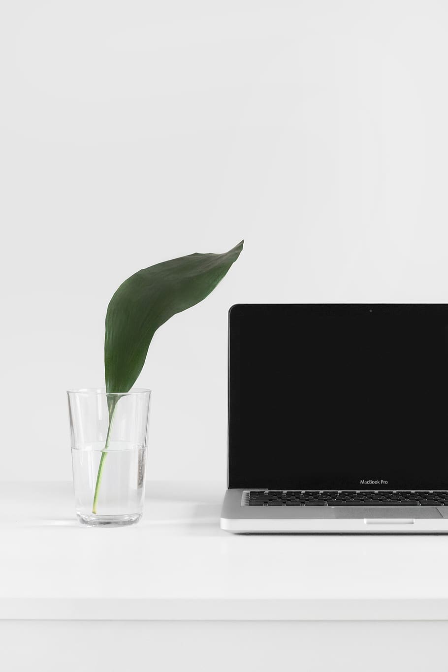 laptop, apple, keyboard, technology, mac, application, software HD wallpaper