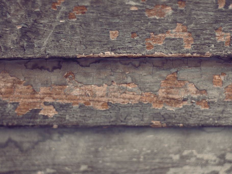 close up photography of brown wood plank, rust, texture, door, HD wallpaper