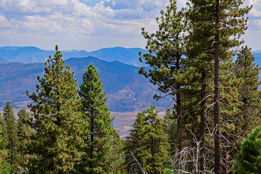 sequoia national forest, landscape, mountains, california, kern county