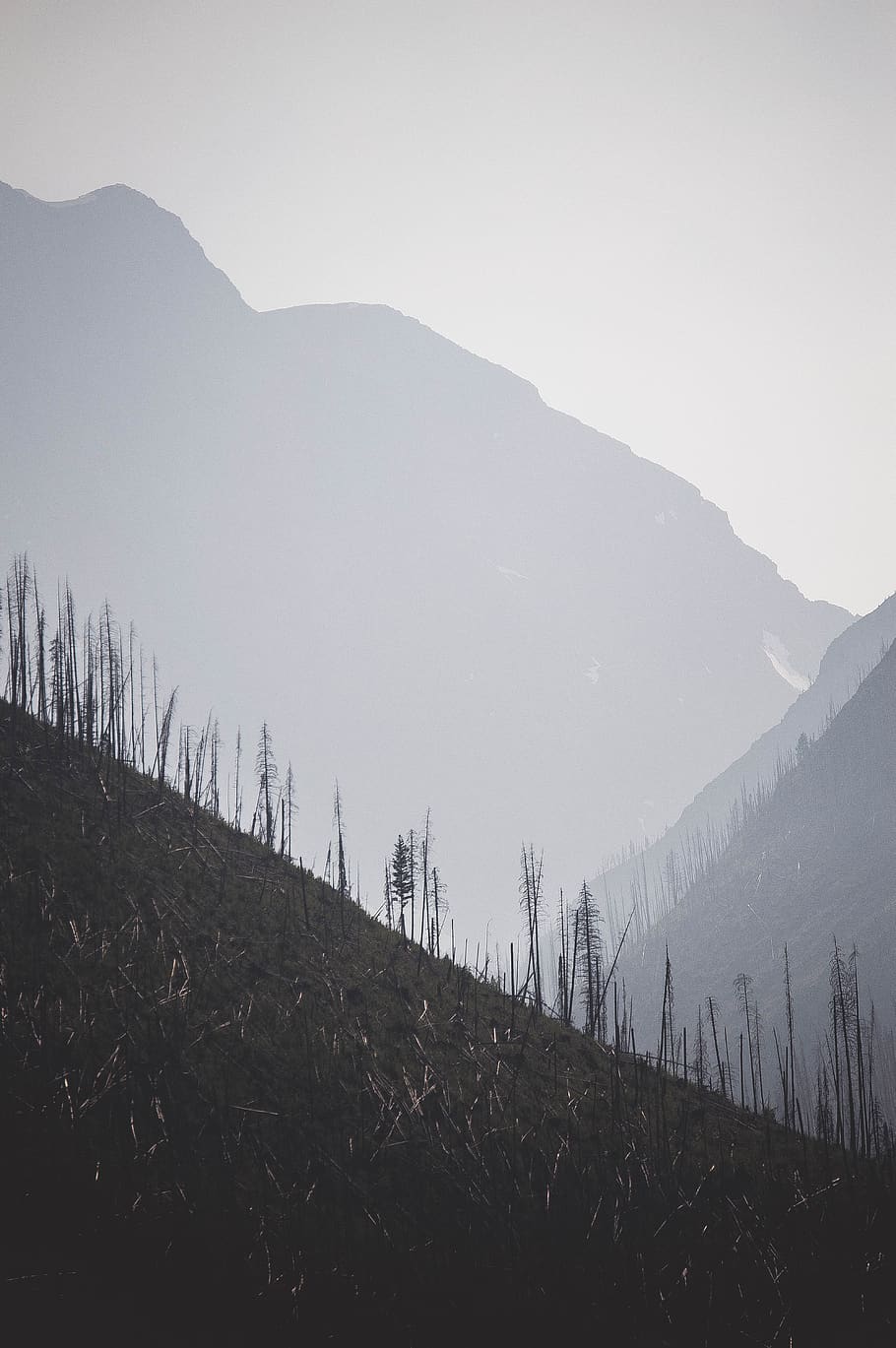 canada, improvement district no. 9, forest, forest fire, nature HD wallpaper