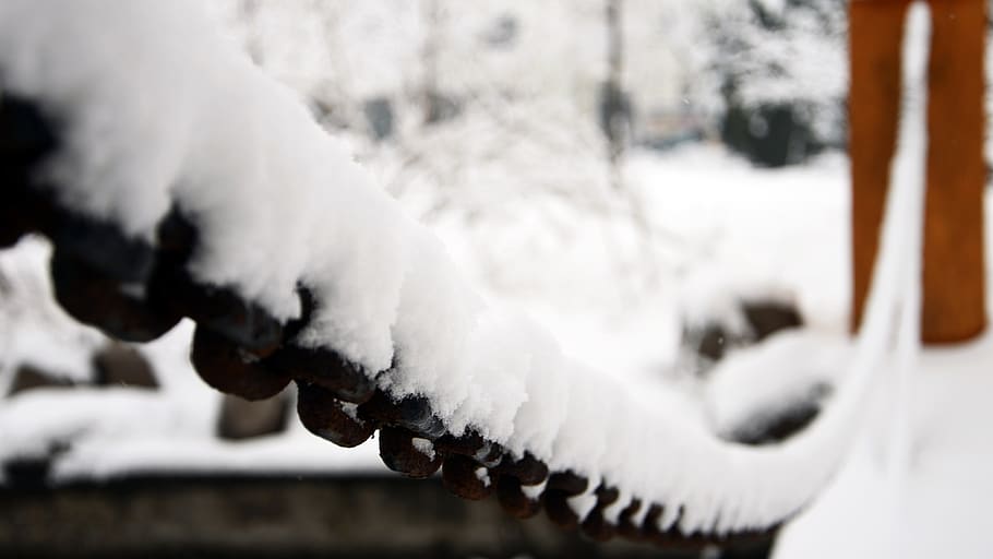 winter, snow, cold, huhuhang, animal, cold temperature, animal themes HD wallpaper