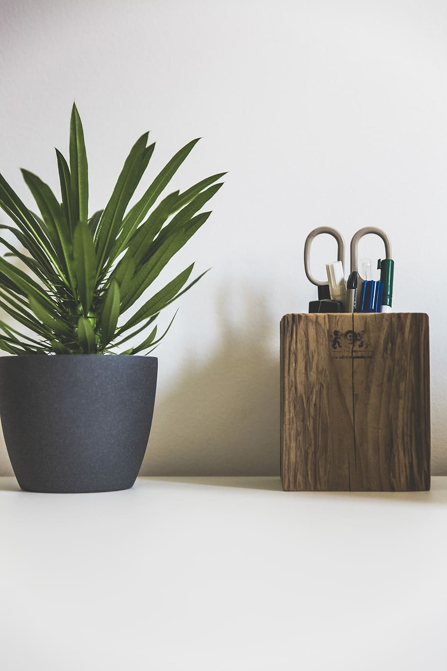 plant, cactus, pen, workspace, workstation, wooden, wlan, white HD wallpaper