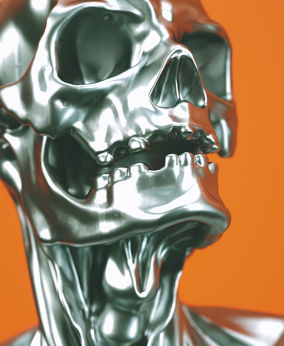Silver Skull, design, horror, skeleton, representation, metal HD wallpaper